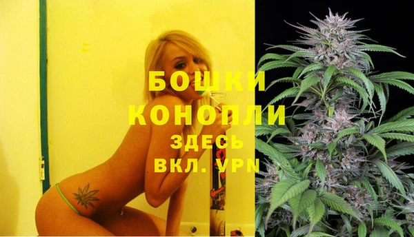 спайс Белокуриха